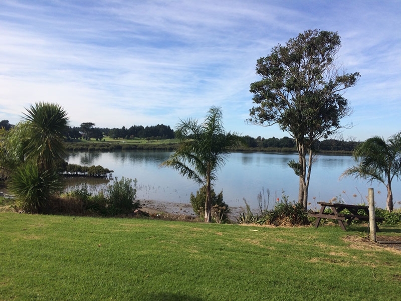 camping ground in Auckland