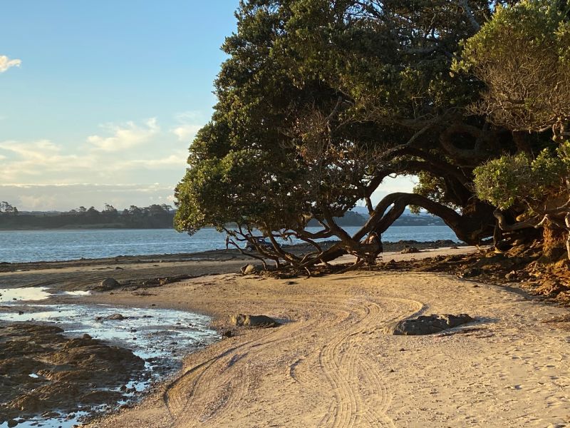 great spot for fishing and scallop-gathering